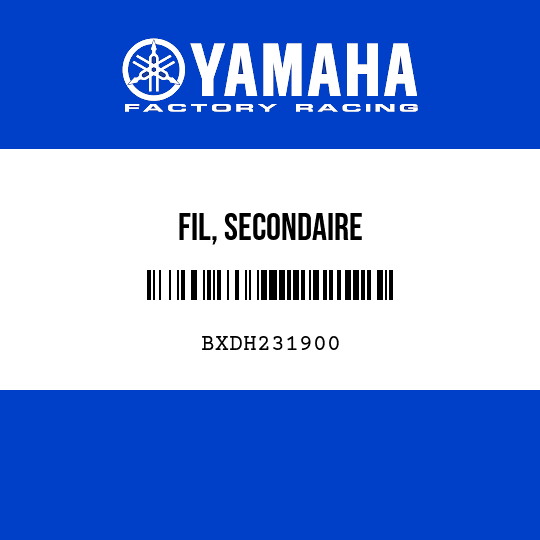 FIL, SECONDAIRE