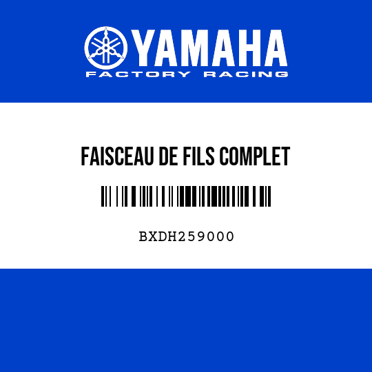 FAISCEAU DE FILS COMPLET