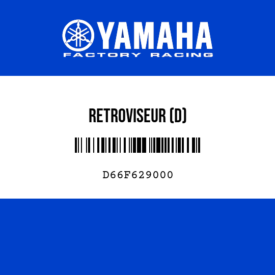 RETROVISEUR (D)